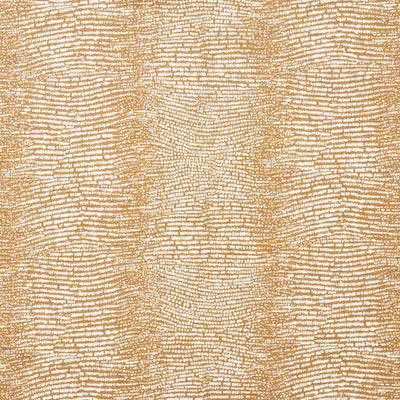 Armadillo - 21283183