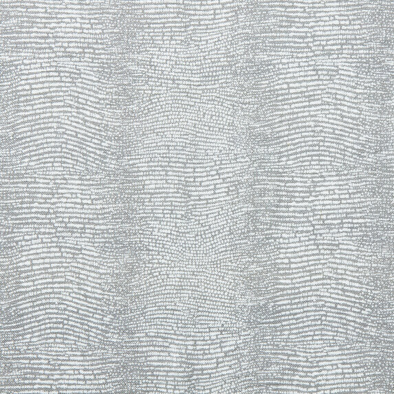 Armadillo - 21283991