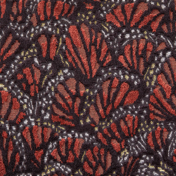 Monarch - 21284385