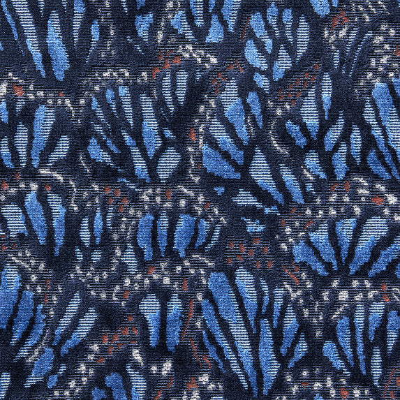 Monarch - 21284597