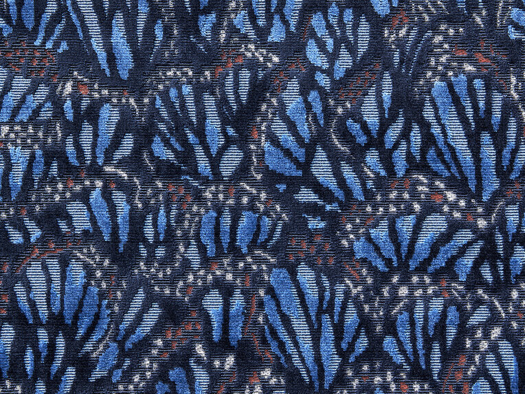 Monarch - 21284597