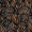 Monarch - 21284783