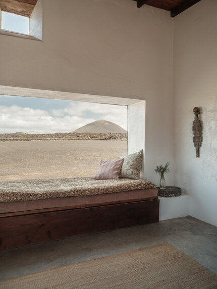 Monarch - 21284783