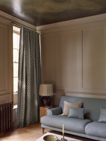 Boxwood - 21294585