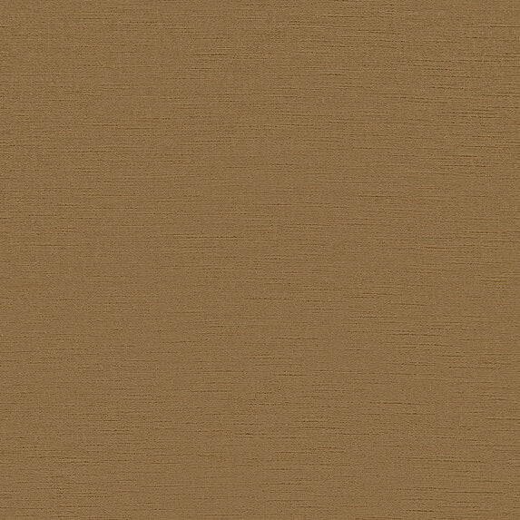 Sheldon - 44201885