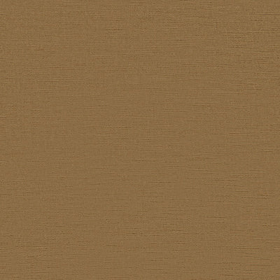 Sheldon - 44201885