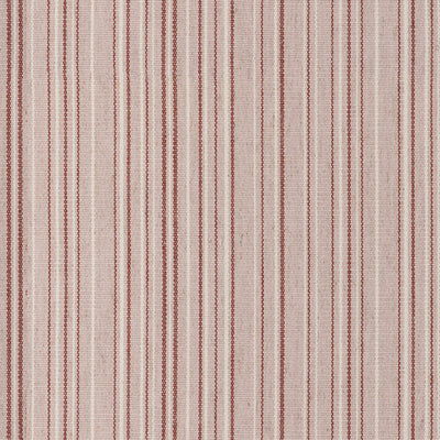 Parade Stripe - 44210433