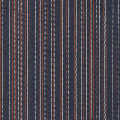 Parade Stripe - 44210538