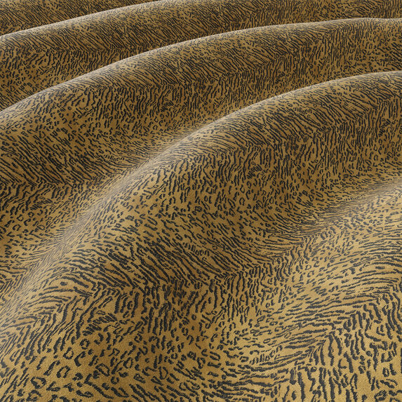 Oncilla - 44211196