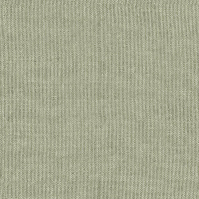 Empress Glazed Linen - 44212774