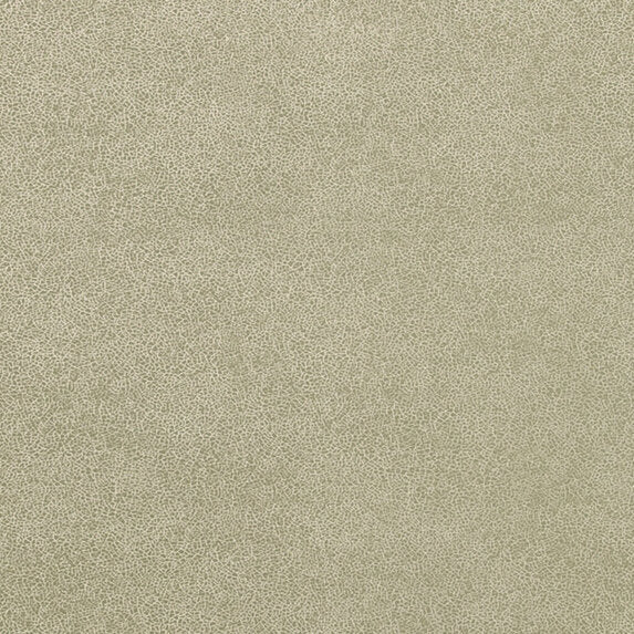 Glaze - 50019894