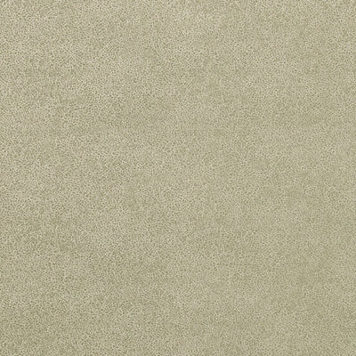 Glaze - 50019894