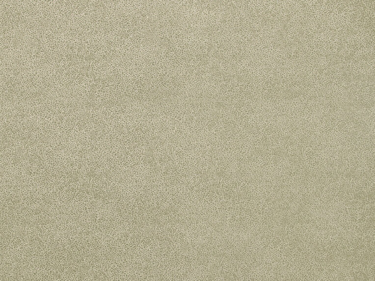 Glaze - 50019894