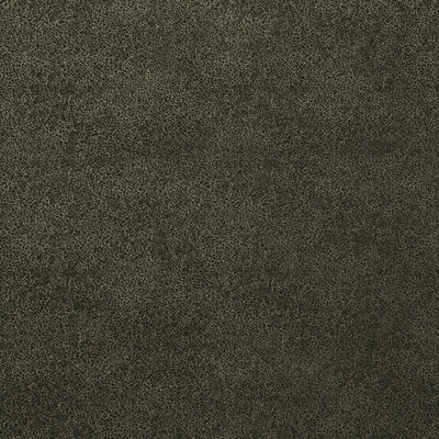 Glaze - 50019989