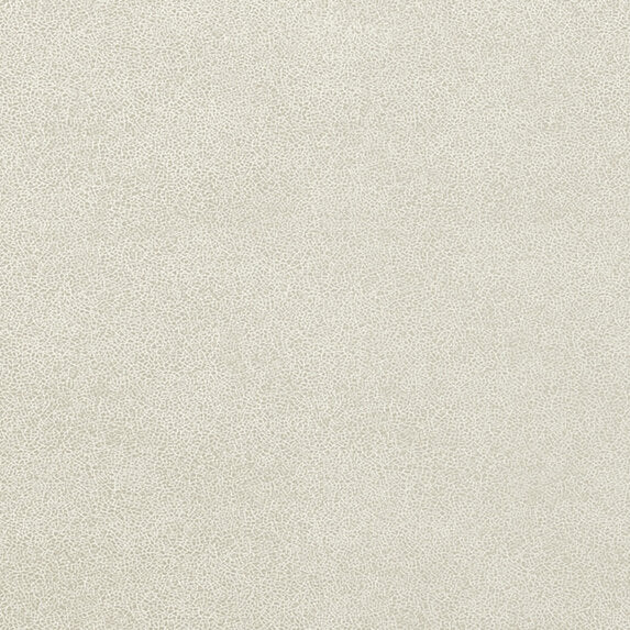 Glaze - 50019992