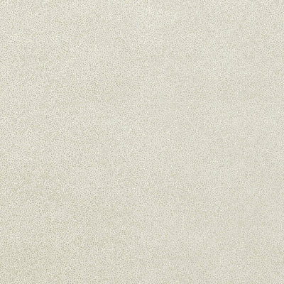 Glaze - 50019992