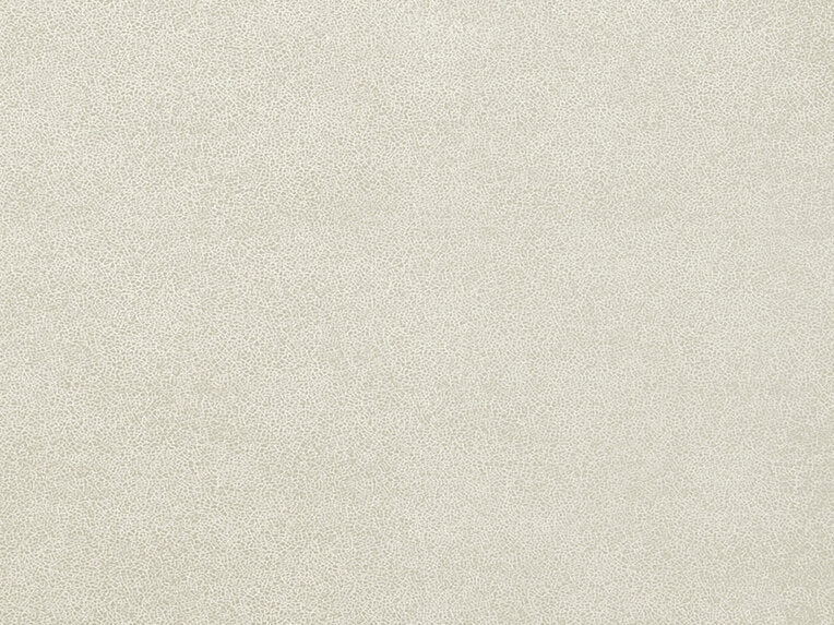 Glaze - 50019992