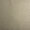 Neptune - 50032895