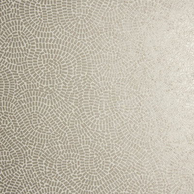 Neptune - 50032992