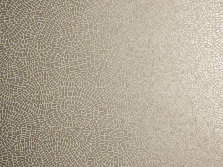 Neptune - 50032994