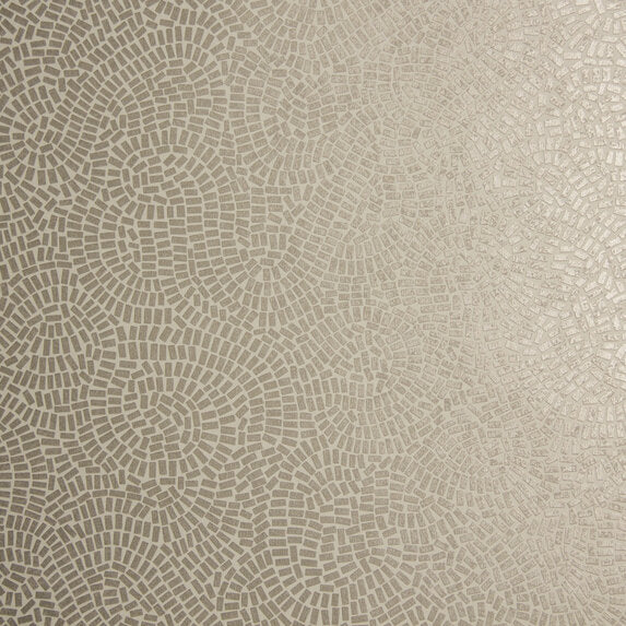Neptune - 50032994
