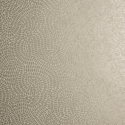 Neptune - 50032994