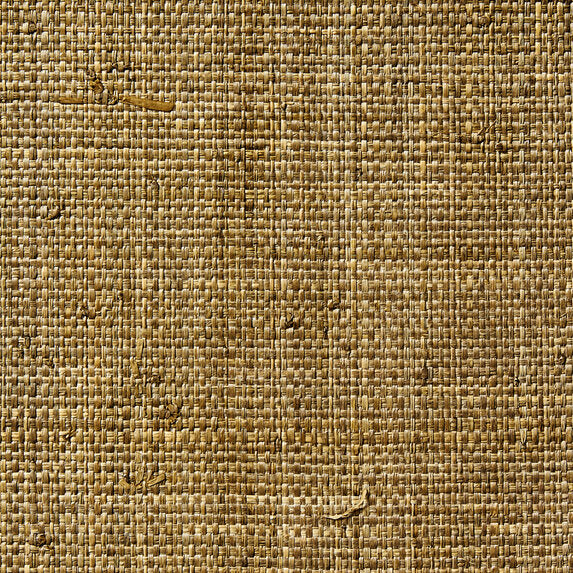 Raffia Weave - 50068716
