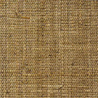 Raffia Weave - 50068716