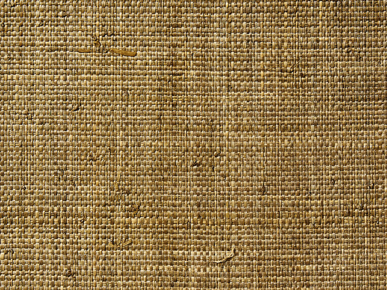 Raffia Weave - 50068716