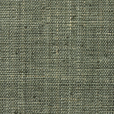 Raffia Weave - 50068777