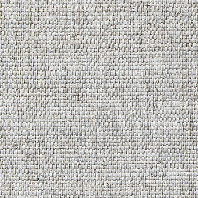Raffia Weave - 50068900