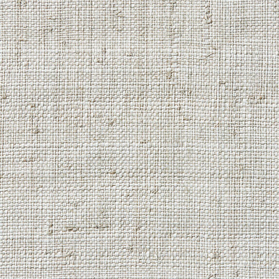 Raffia Weave - 50068981