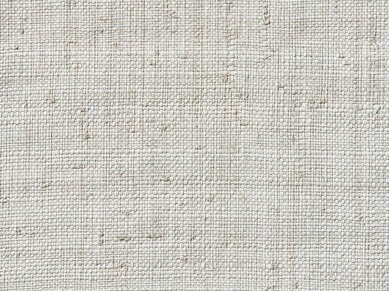 Raffia Weave - 50068981