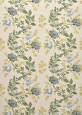 Rosa Grisaille - Lumières Boréales