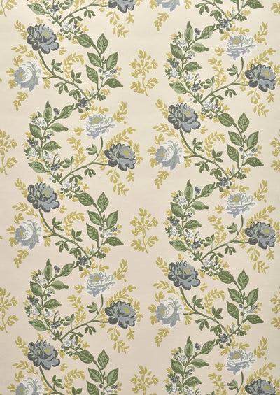 Rosa Grisaille - Lumières Boréales