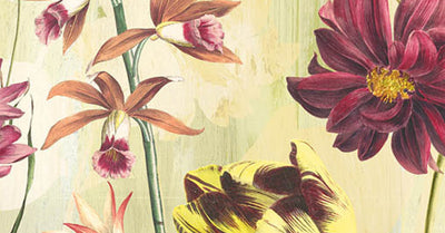 Elise Linen