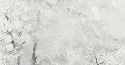 Misaki Mist