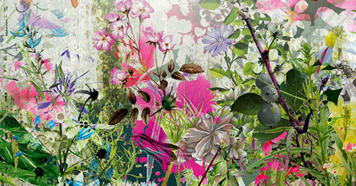 Vived Floral