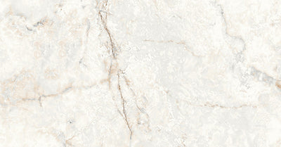 Carrara Camel