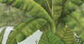 Rainforest Bloom