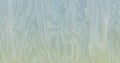 Moire Sea