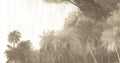 Toucan Sepia
