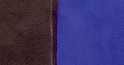 Alcove Indigo