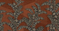 Yucatan Persian