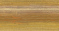Chanderi Honey