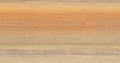 Chanderi Sunset