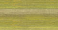 Chanderi Lime