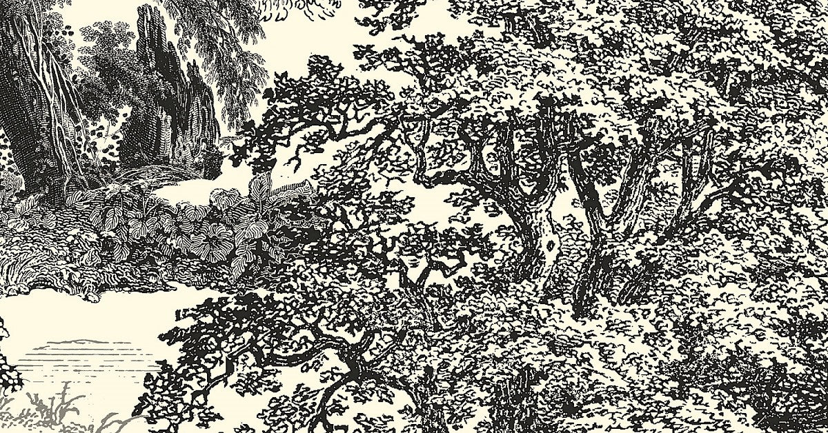 Salcey Forest