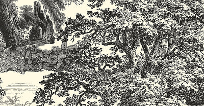 Salcey Forest