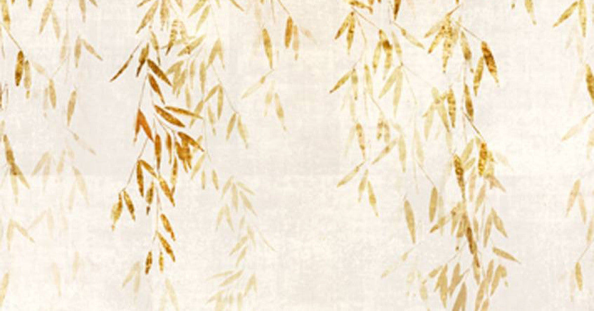 Willow Sun